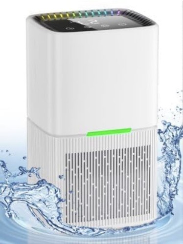 Portable dehumidifier for home